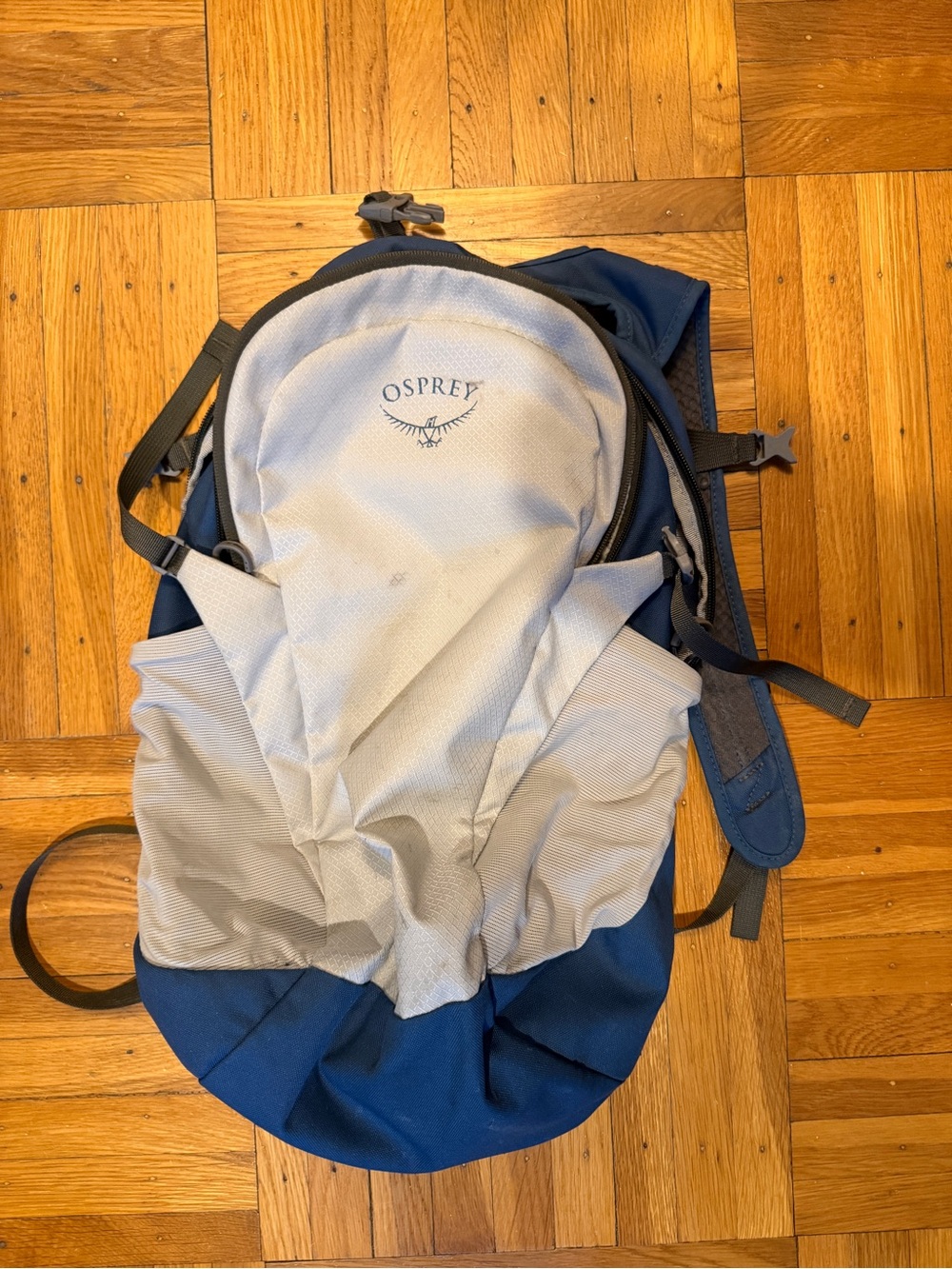 OSPREY Blue and Light Gray Men's Backpack